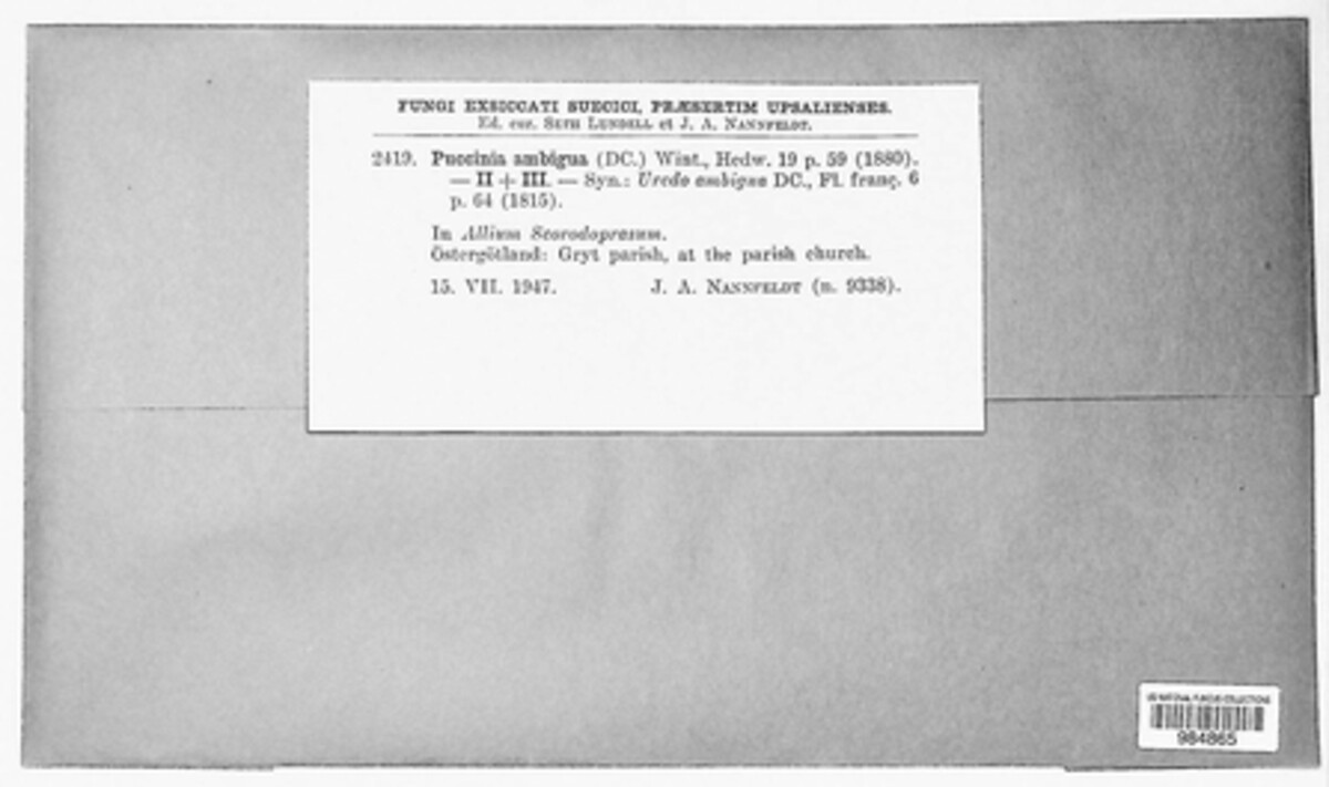 Puccinia ambigua image